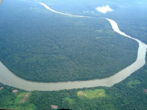 Why Is the Amazon Rainforest So Important?