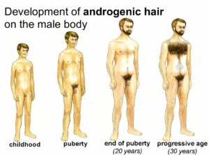 Boys & Puberty: Changes, Emotions & What to Expect