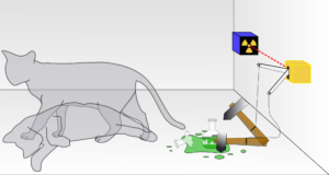 What Does Quantum Mechanics Have To Do With A Cat?