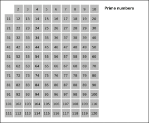 What Are Prime Numbers? - A Complete Guide