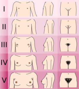 Girls & Puberty: What’s Normal & How to Stay Confident