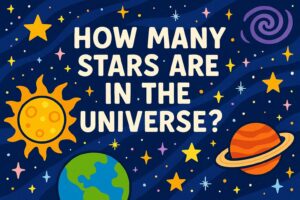 How Many Stars Are in the Universe?